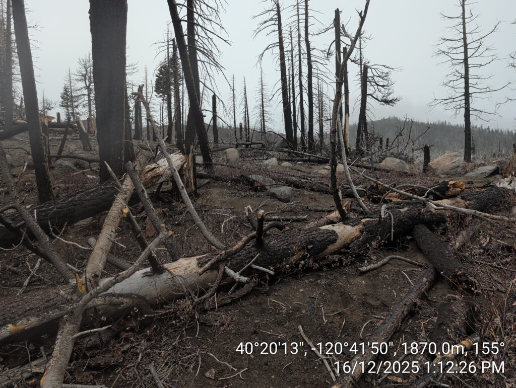Illegal 70 + Acre Herbicide Application Photos and Evidence for the Lahontan Water Board 164 IMG 20251216 131226