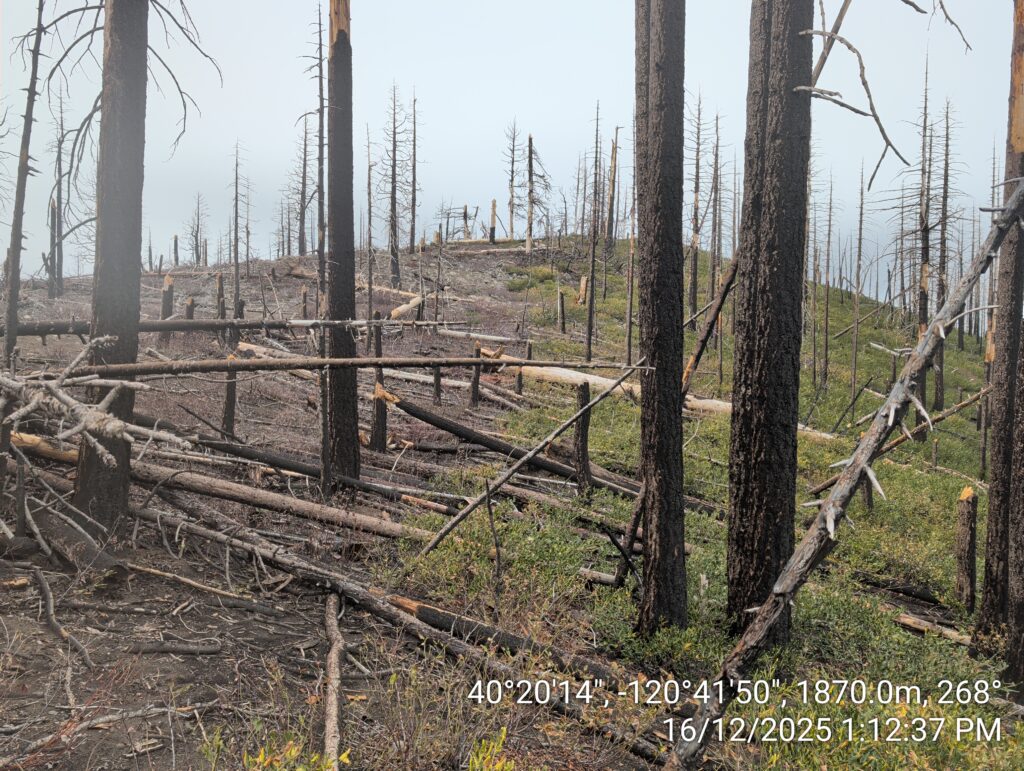 Illegal 70 + Acre Herbicide Application Photos and Evidence for the Lahontan Water Board 165 IMG 20251216 131237