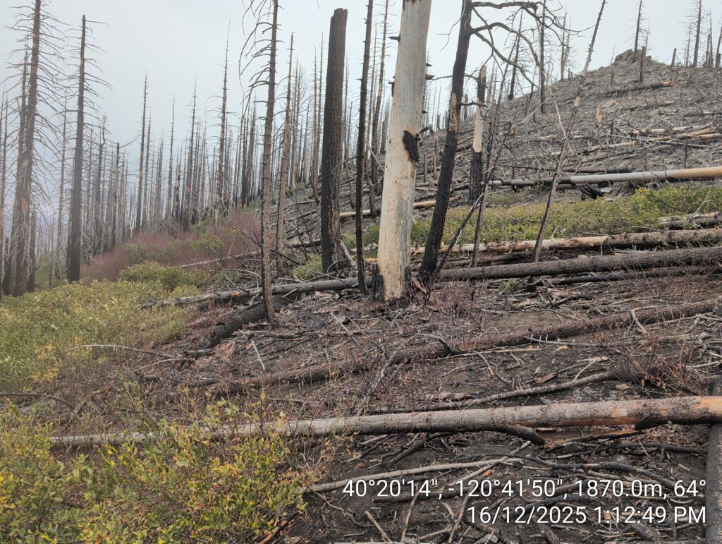 Illegal 70 + Acre Herbicide Application Photos and Evidence for the Lahontan Water Board 166 IMG 20251216 131249