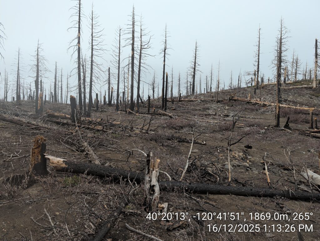 Illegal 70 + Acre Herbicide Application Photos and Evidence for the Lahontan Water Board 168 IMG 20251216 131326