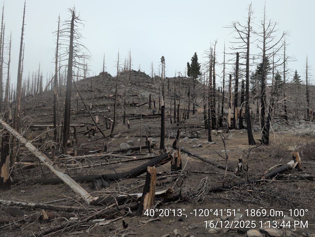Illegal 70 + Acre Herbicide Application Photos and Evidence for the Lahontan Water Board 169 IMG 20251216 131344
