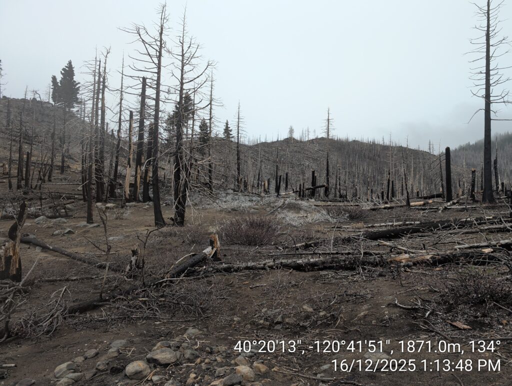 Illegal 70 + Acre Herbicide Application Photos and Evidence for the Lahontan Water Board 170 IMG 20251216 131348
