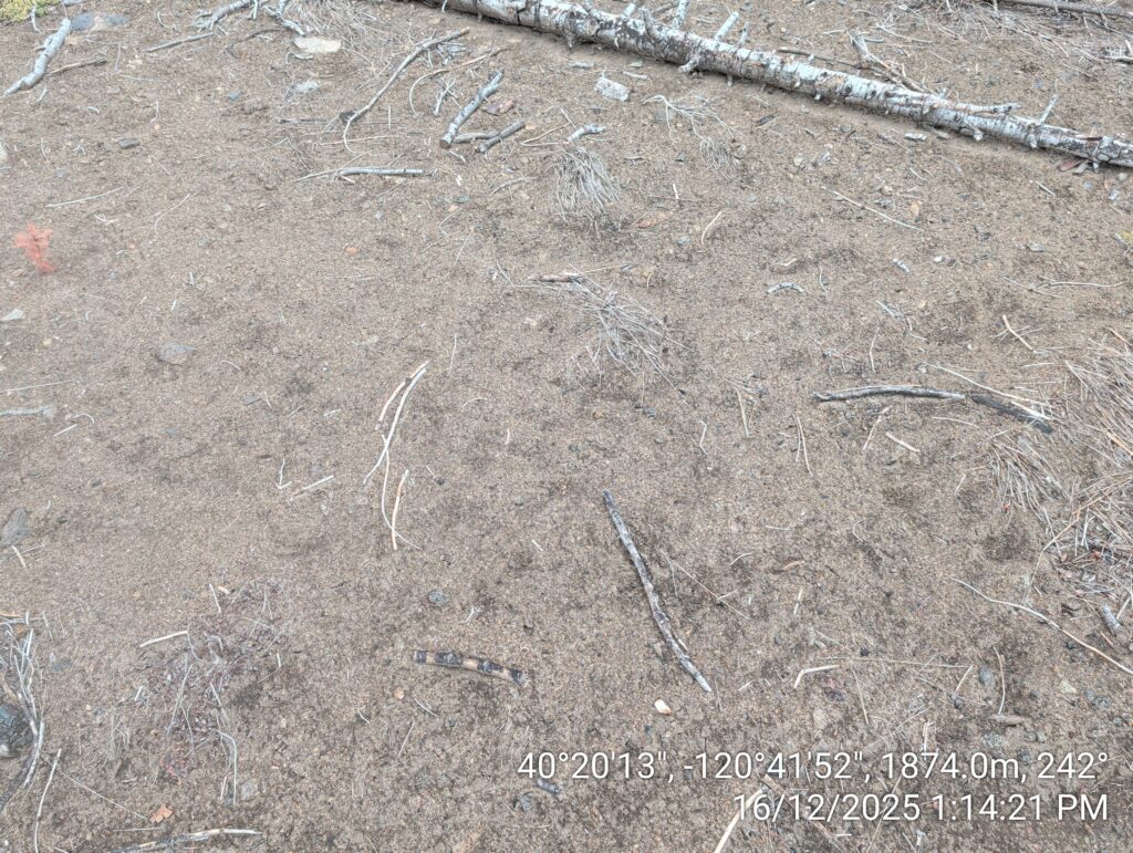 Illegal 70 + Acre Herbicide Application Photos and Evidence for the Lahontan Water Board 173 IMG 20251216 131421
