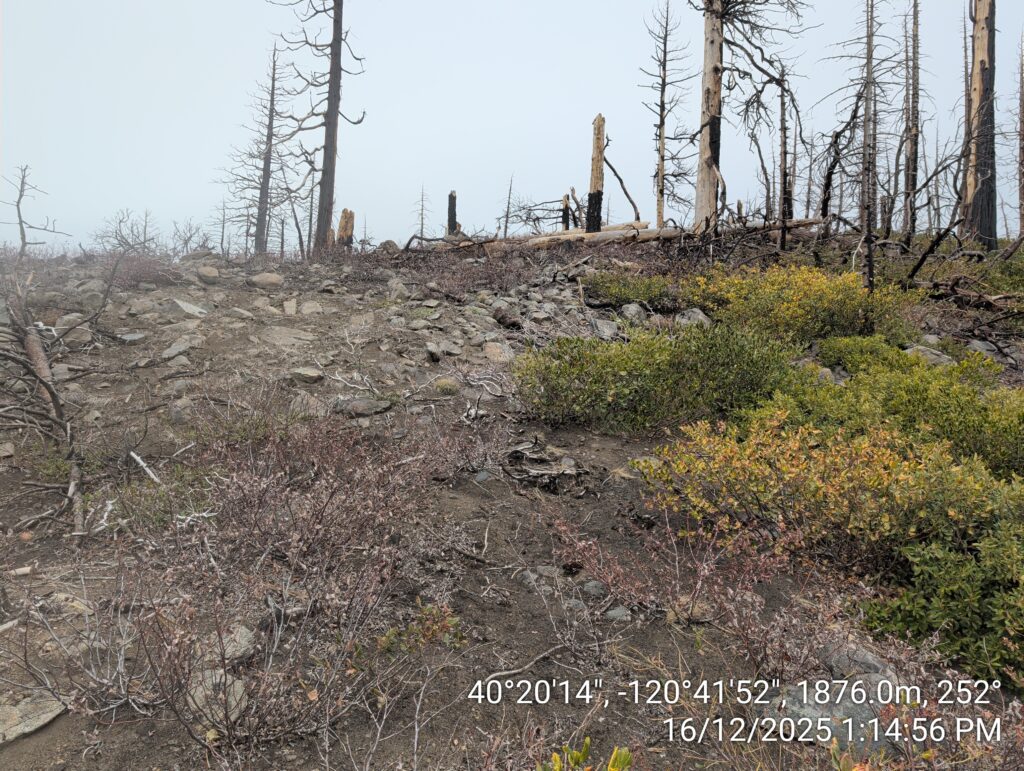 Illegal 70 + Acre Herbicide Application Photos and Evidence for the Lahontan Water Board 175 IMG 20251216 131456