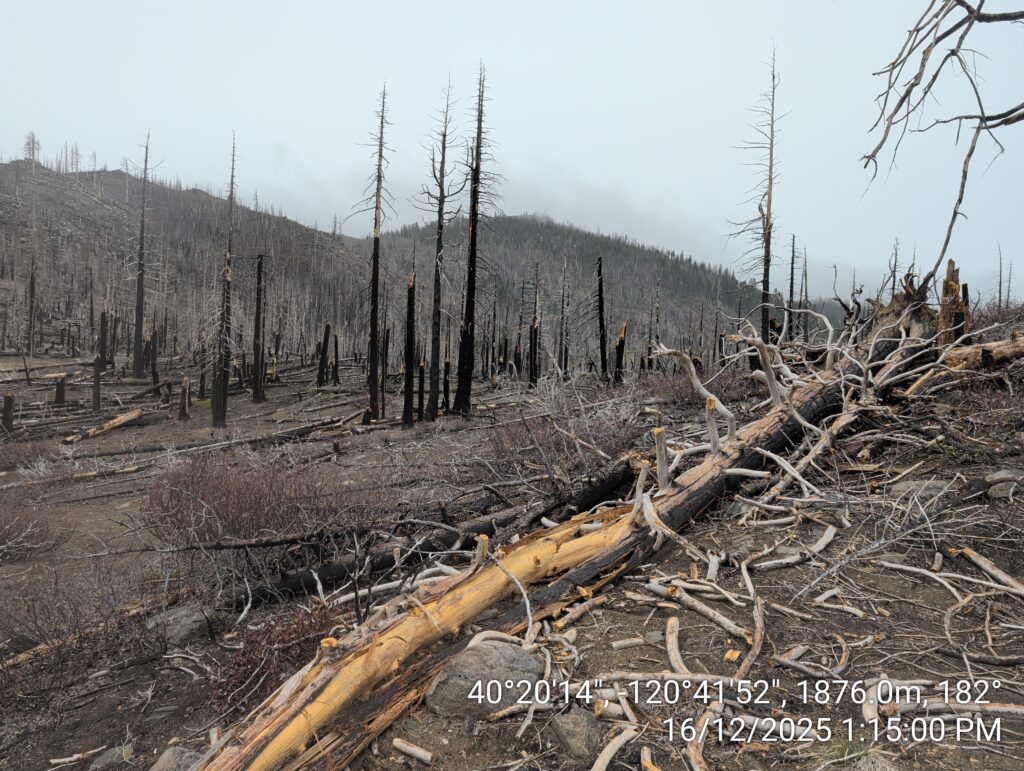Illegal 70 + Acre Herbicide Application Photos and Evidence for the Lahontan Water Board 176 IMG 20251216 131500