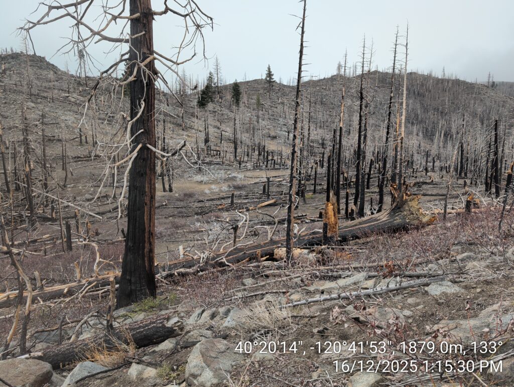 Illegal 70 + Acre Herbicide Application Photos and Evidence for the Lahontan Water Board 178 IMG 20251216 131530 copy