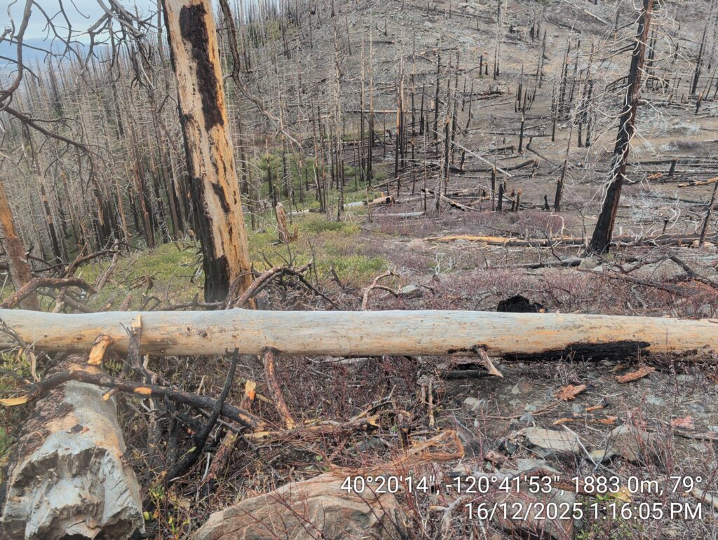 Illegal 70 + Acre Herbicide Application Photos and Evidence for the Lahontan Water Board 180 IMG 20251216 131605