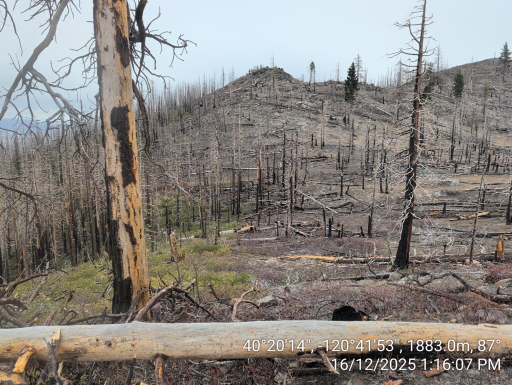 Illegal 70 + Acre Herbicide Application Photos and Evidence for the Lahontan Water Board 181 IMG 20251216 131607