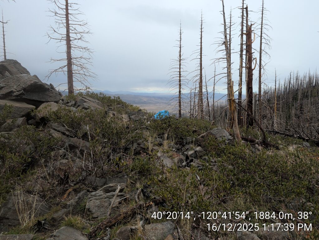 Illegal 70 + Acre Herbicide Application Photos and Evidence for the Lahontan Water Board 184 IMG 20251216 131739