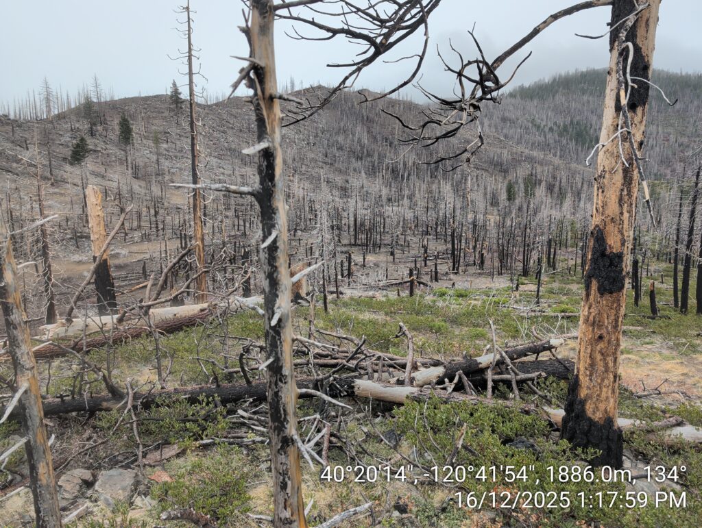 Illegal 70 + Acre Herbicide Application Photos and Evidence for the Lahontan Water Board 186 IMG 20251216 131759