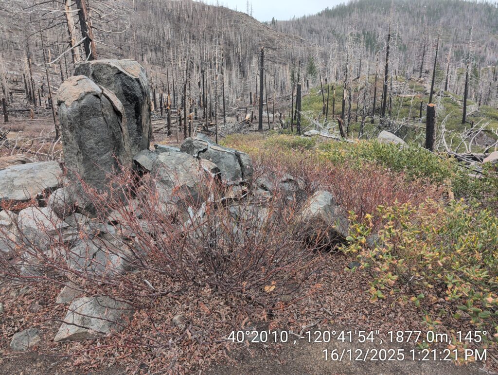 Illegal 70 + Acre Herbicide Application Photos and Evidence for the Lahontan Water Board 191 IMG 20251216 132121