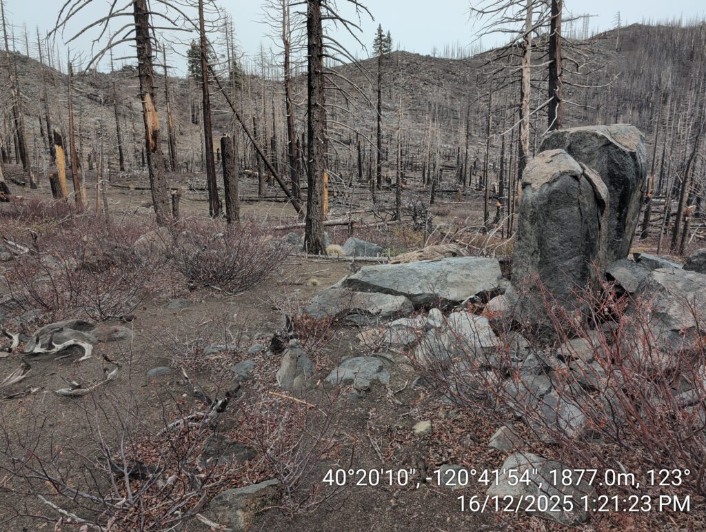 Illegal 70 + Acre Herbicide Application Photos and Evidence for the Lahontan Water Board 192 IMG 20251216 132123