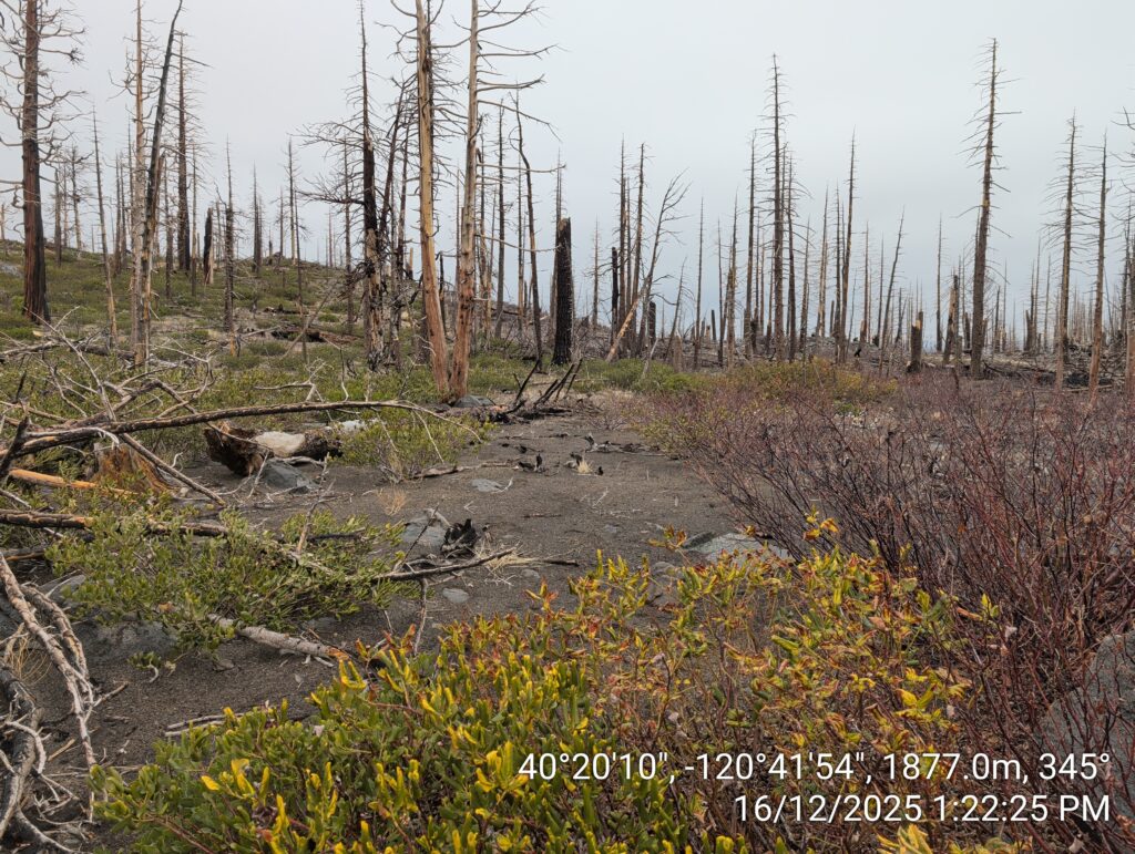 Illegal 70 + Acre Herbicide Application Photos and Evidence for the Lahontan Water Board 194 IMG 20251216 132225