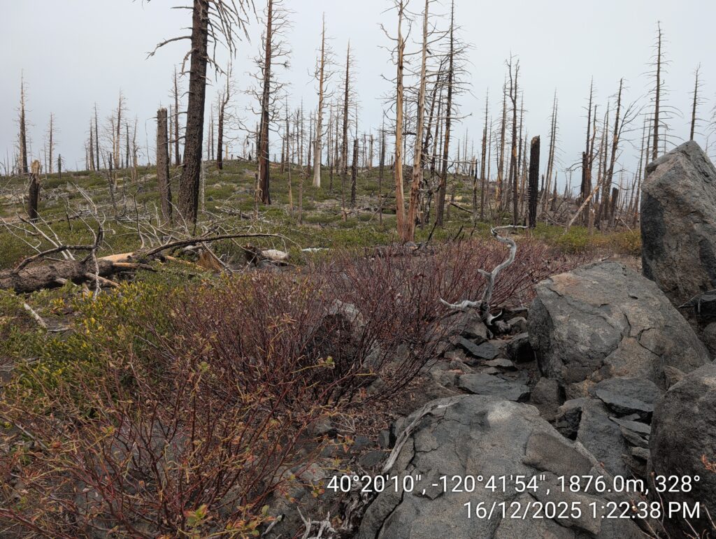 Illegal 70 + Acre Herbicide Application Photos and Evidence for the Lahontan Water Board 196 IMG 20251216 132238