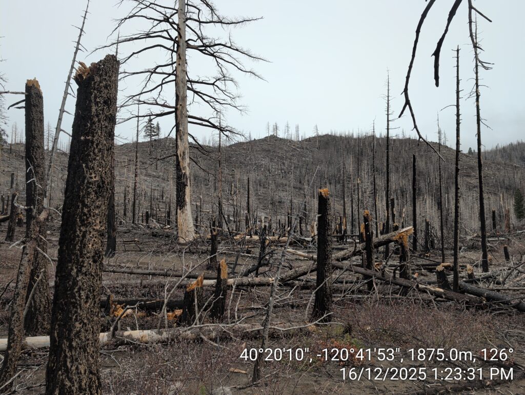 Illegal 70 + Acre Herbicide Application Photos and Evidence for the Lahontan Water Board 200 IMG 20251216 132331