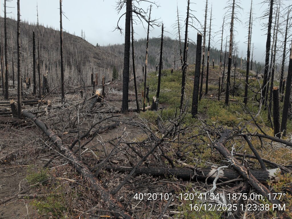 Illegal 70 + Acre Herbicide Application Photos and Evidence for the Lahontan Water Board 201 IMG 20251216 132338