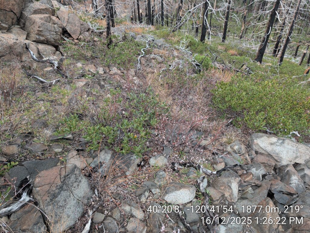 Illegal 70 + Acre Herbicide Application Photos and Evidence for the Lahontan Water Board 207 IMG 20251216 132622
