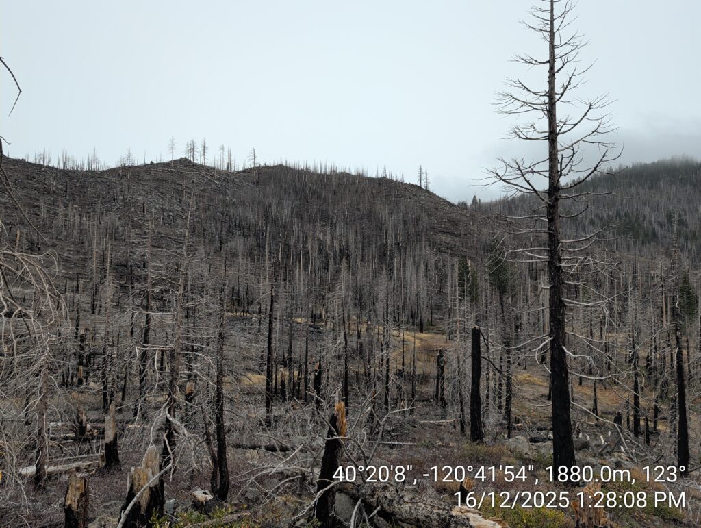 Illegal 70 + Acre Herbicide Application Photos and Evidence for the Lahontan Water Board 210 IMG 20251216 132808