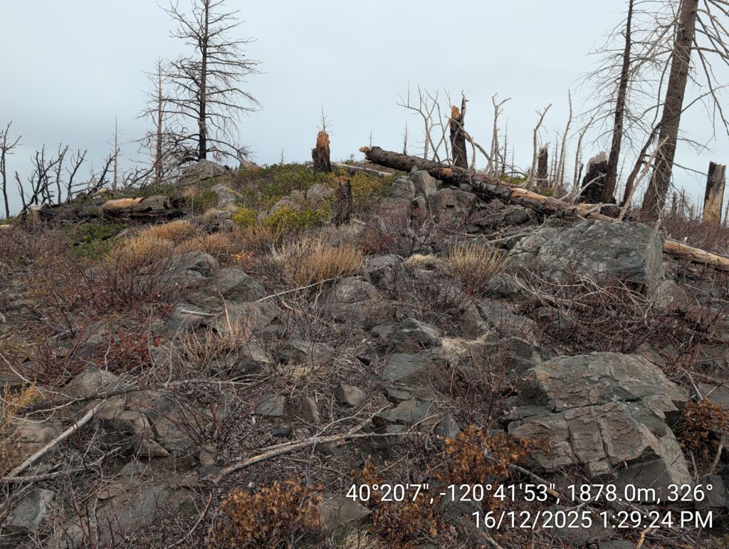 Illegal 70 + Acre Herbicide Application Photos and Evidence for the Lahontan Water Board 212 IMG 20251216 132924