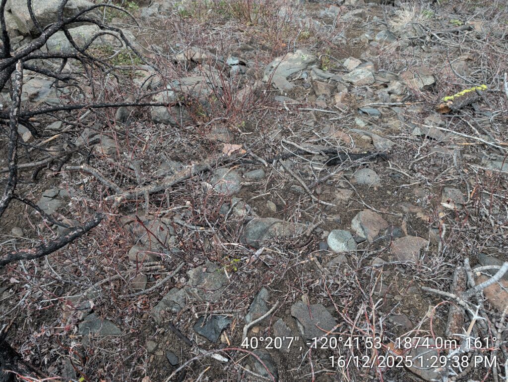 Illegal 70 + Acre Herbicide Application Photos and Evidence for the Lahontan Water Board 213 IMG 20251216 132938