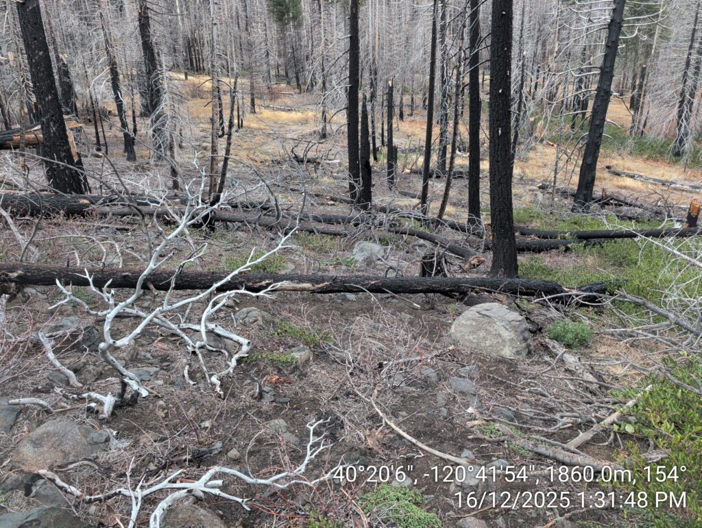 Illegal 70 + Acre Herbicide Application Photos and Evidence for the Lahontan Water Board 215 IMG 20251216 133148