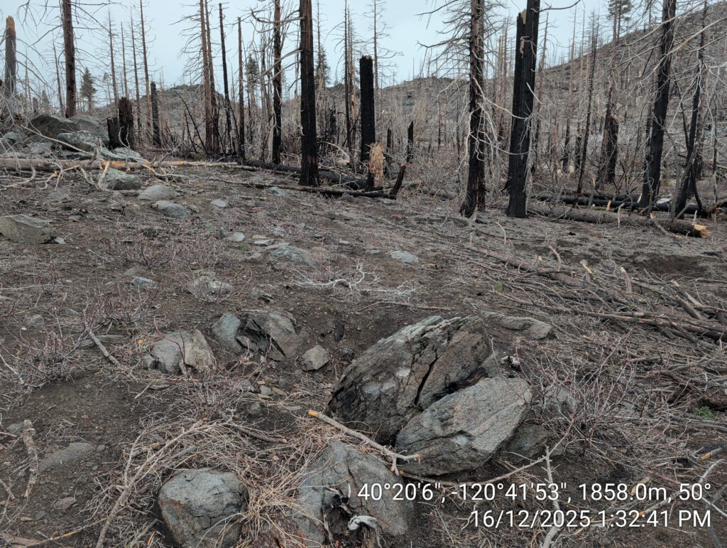 Illegal 70 + Acre Herbicide Application Photos and Evidence for the Lahontan Water Board 217 IMG 20251216 133241 1