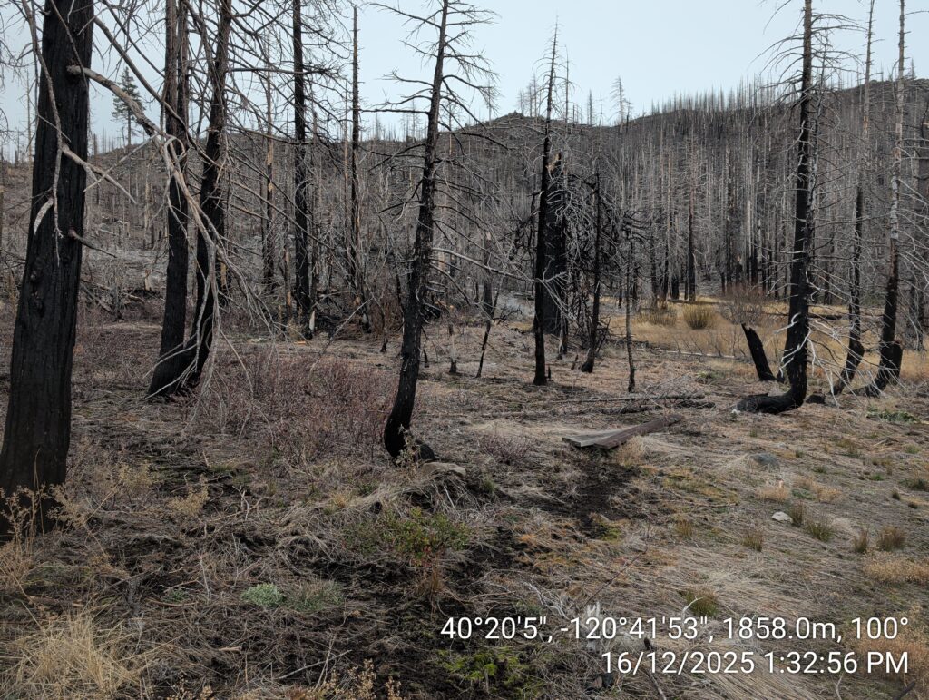 Illegal 70 + Acre Herbicide Application Photos and Evidence for the Lahontan Water Board 218 IMG 20251216 133256 1