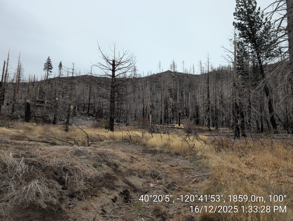 Illegal 70 + Acre Herbicide Application Photos and Evidence for the Lahontan Water Board 220 IMG 20251216 133328