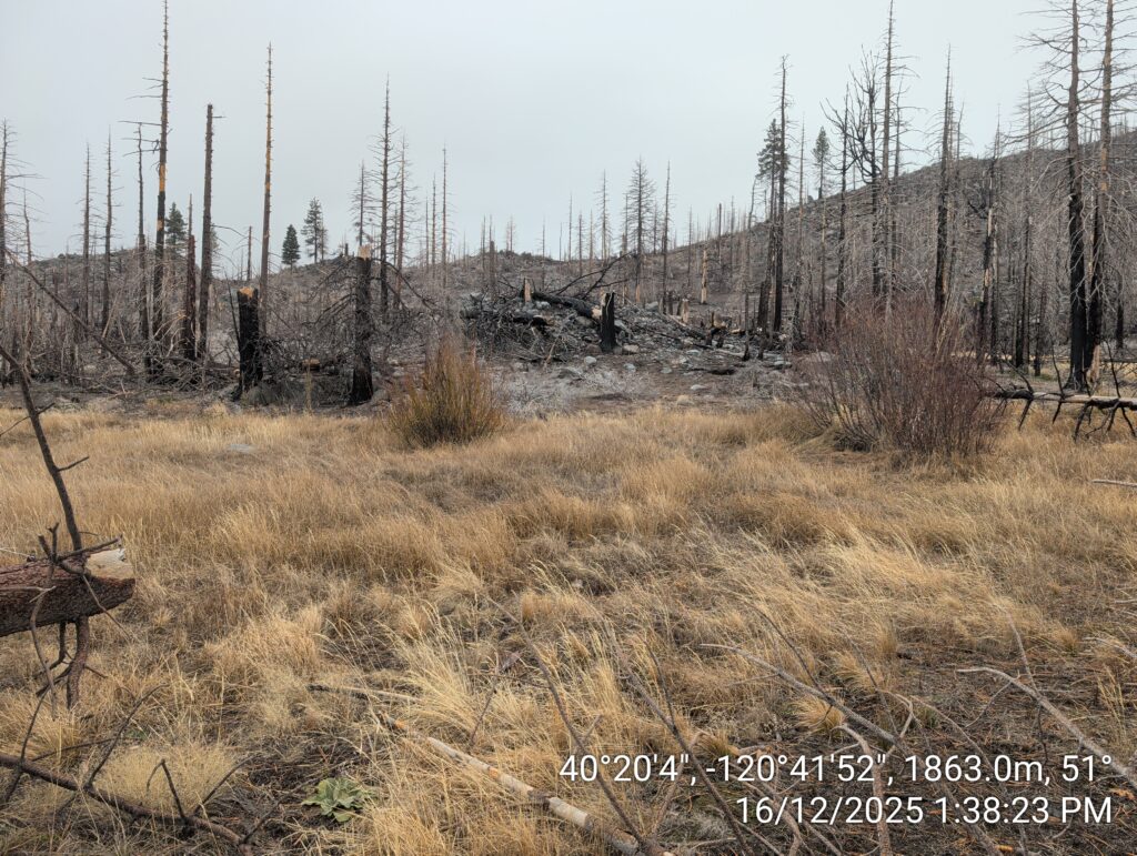 Illegal 70 + Acre Herbicide Application Photos and Evidence for the Lahontan Water Board 229 IMG 20251216 133823