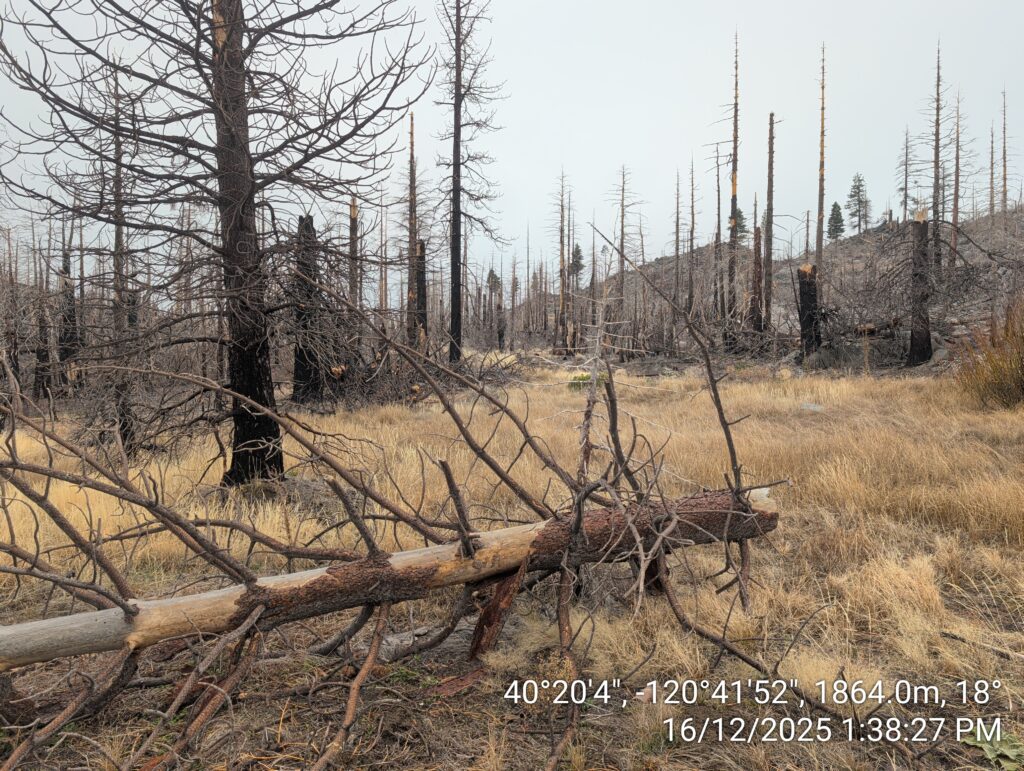 Illegal 70 + Acre Herbicide Application Photos and Evidence for the Lahontan Water Board 230 IMG 20251216 133827