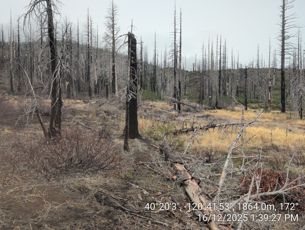 Illegal 70 + Acre Herbicide Application Photos and Evidence for the Lahontan Water Board 233 IMG 20251216 133927