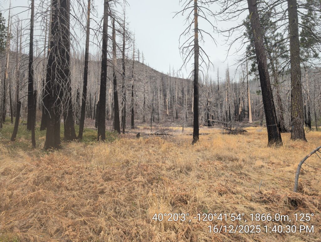 Illegal 70 + Acre Herbicide Application Photos and Evidence for the Lahontan Water Board 235 IMG 20251216 134030