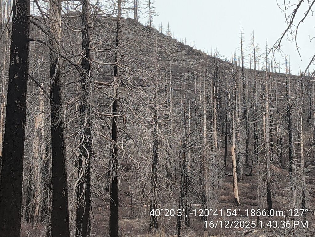 Illegal 70 + Acre Herbicide Application Photos and Evidence for the Lahontan Water Board 236 IMG 20251216 134036