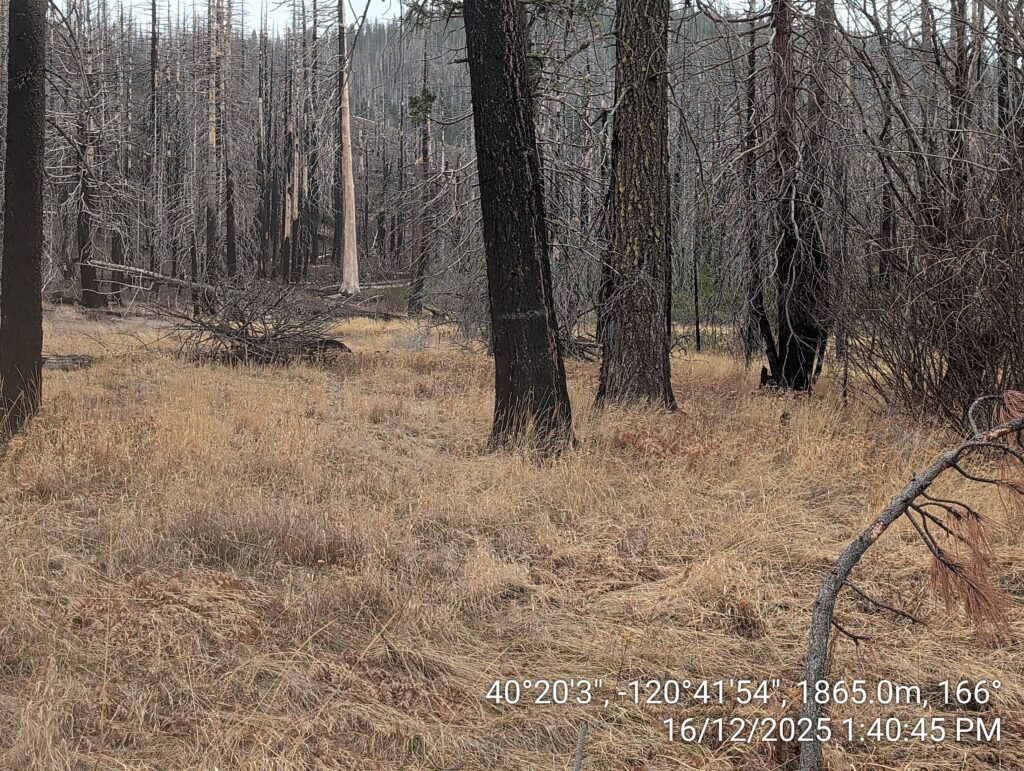 Illegal 70 + Acre Herbicide Application Photos and Evidence for the Lahontan Water Board 238 IMG 20251216 134045