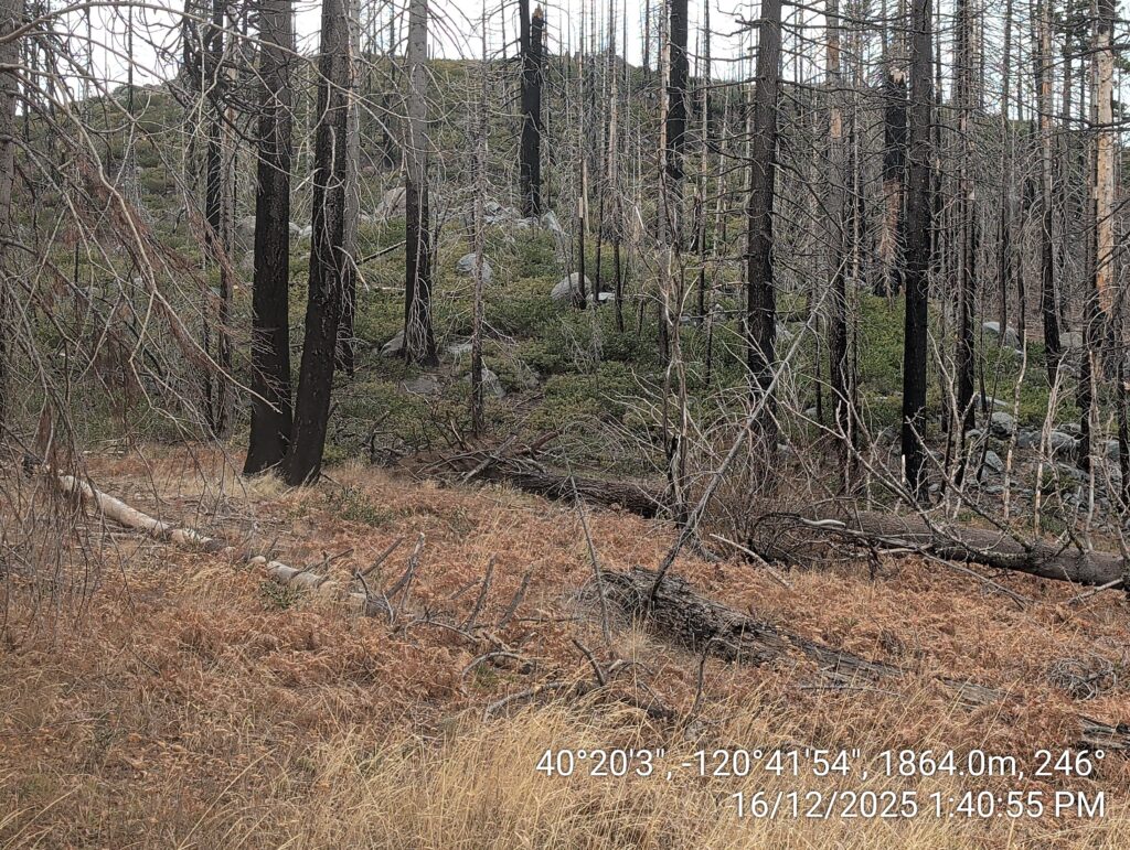 Illegal 70 + Acre Herbicide Application Photos and Evidence for the Lahontan Water Board 239 IMG 20251216 134055