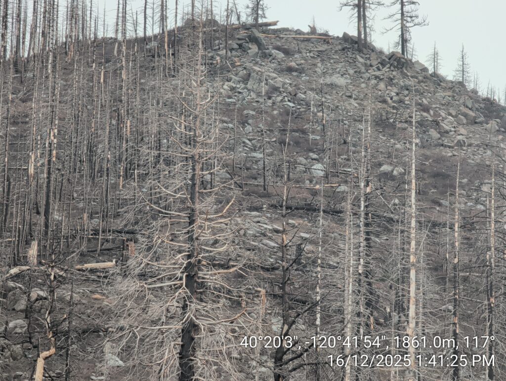 Illegal 70 + Acre Herbicide Application Photos and Evidence for the Lahontan Water Board 242 IMG 20251216 134125 copy 1