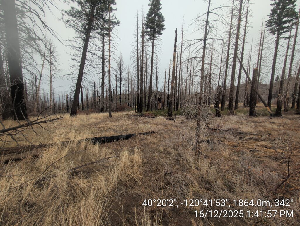 Illegal 70 + Acre Herbicide Application Photos and Evidence for the Lahontan Water Board 243 IMG 20251216 134157