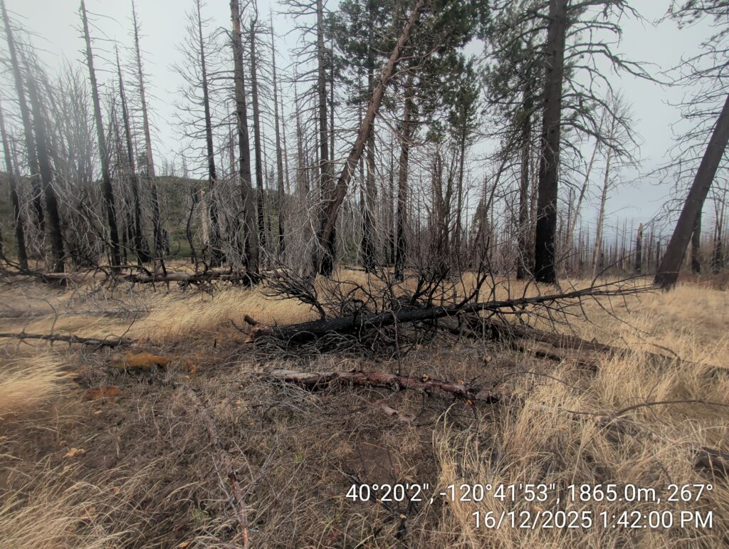 Illegal 70 + Acre Herbicide Application Photos and Evidence for the Lahontan Water Board 244 IMG 20251216 134200