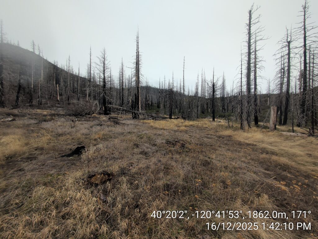 Illegal 70 + Acre Herbicide Application Photos and Evidence for the Lahontan Water Board 245 IMG 20251216 134210