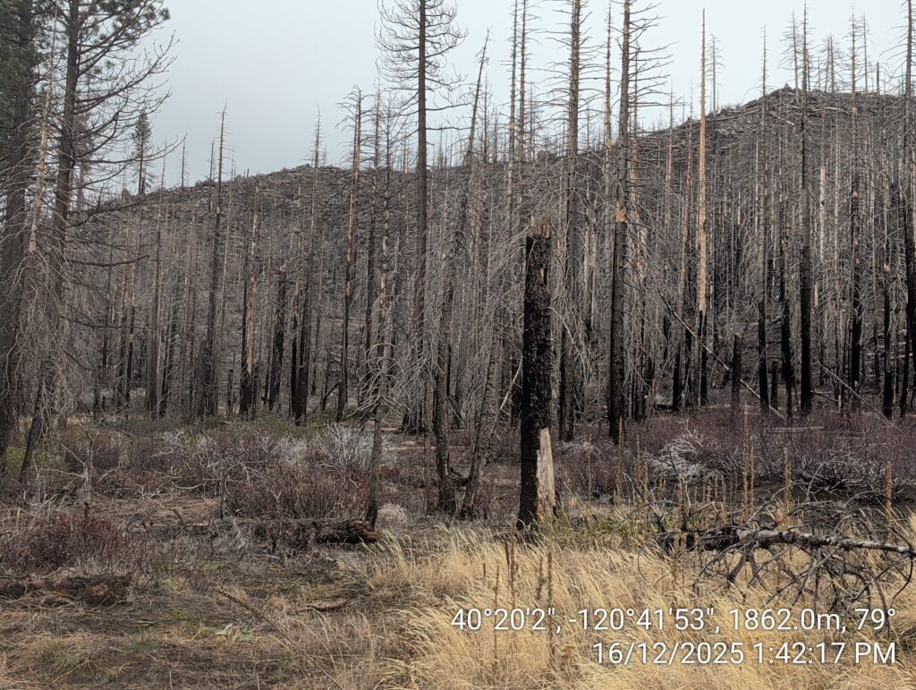 Illegal 70 + Acre Herbicide Application Photos and Evidence for the Lahontan Water Board 246 IMG 20251216 134217