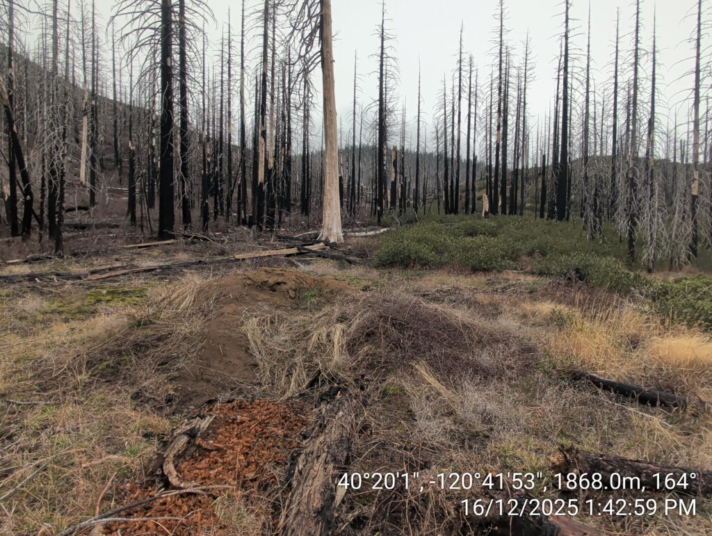 Illegal 70 + Acre Herbicide Application Photos and Evidence for the Lahontan Water Board 248 IMG 20251216 134259