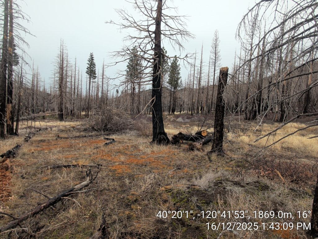Illegal 70 + Acre Herbicide Application Photos and Evidence for the Lahontan Water Board 249 IMG 20251216 134309
