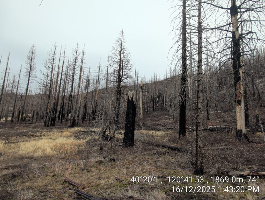 Illegal 70 + Acre Herbicide Application Photos and Evidence for the Lahontan Water Board 251 IMG 20251216 134320