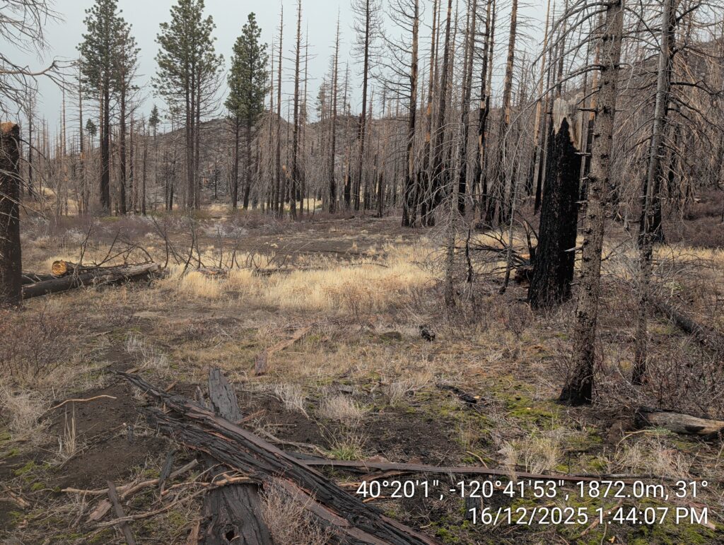 Illegal 70 + Acre Herbicide Application Photos and Evidence for the Lahontan Water Board 255 IMG 20251216 134407 1
