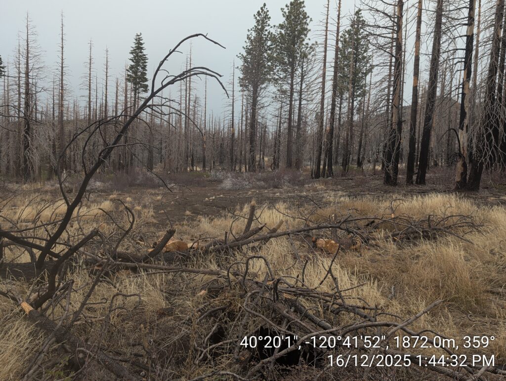 Illegal 70 + Acre Herbicide Application Photos and Evidence for the Lahontan Water Board 258 IMG 20251216 134432 1