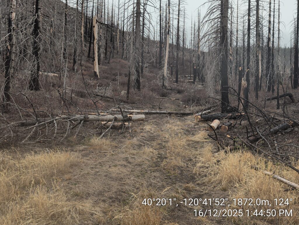 Illegal 70 + Acre Herbicide Application Photos and Evidence for the Lahontan Water Board 260 IMG 20251216 134450 1