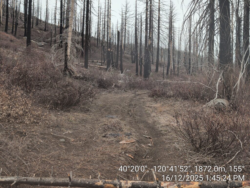 Illegal 70 + Acre Herbicide Application Photos and Evidence for the Lahontan Water Board 262 IMG 20251216 134524
