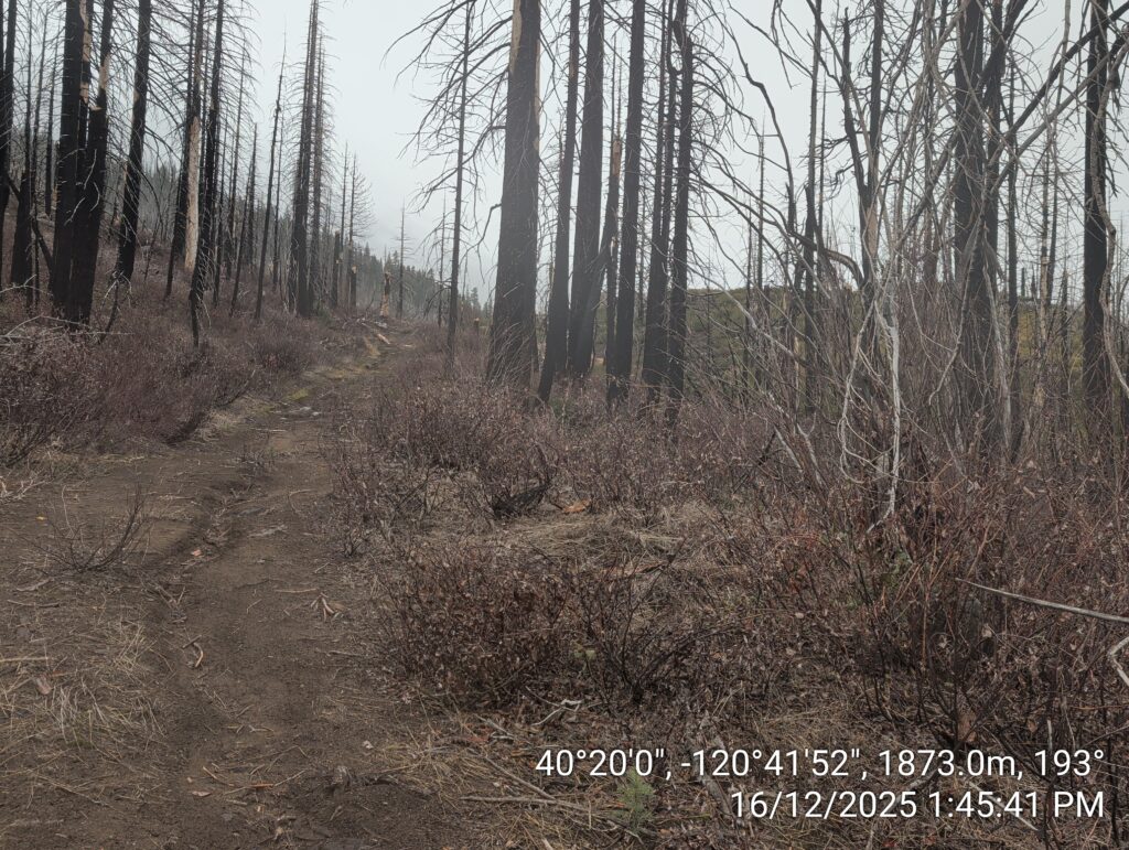 Illegal 70 + Acre Herbicide Application Photos and Evidence for the Lahontan Water Board 265 IMG 20251216 134541