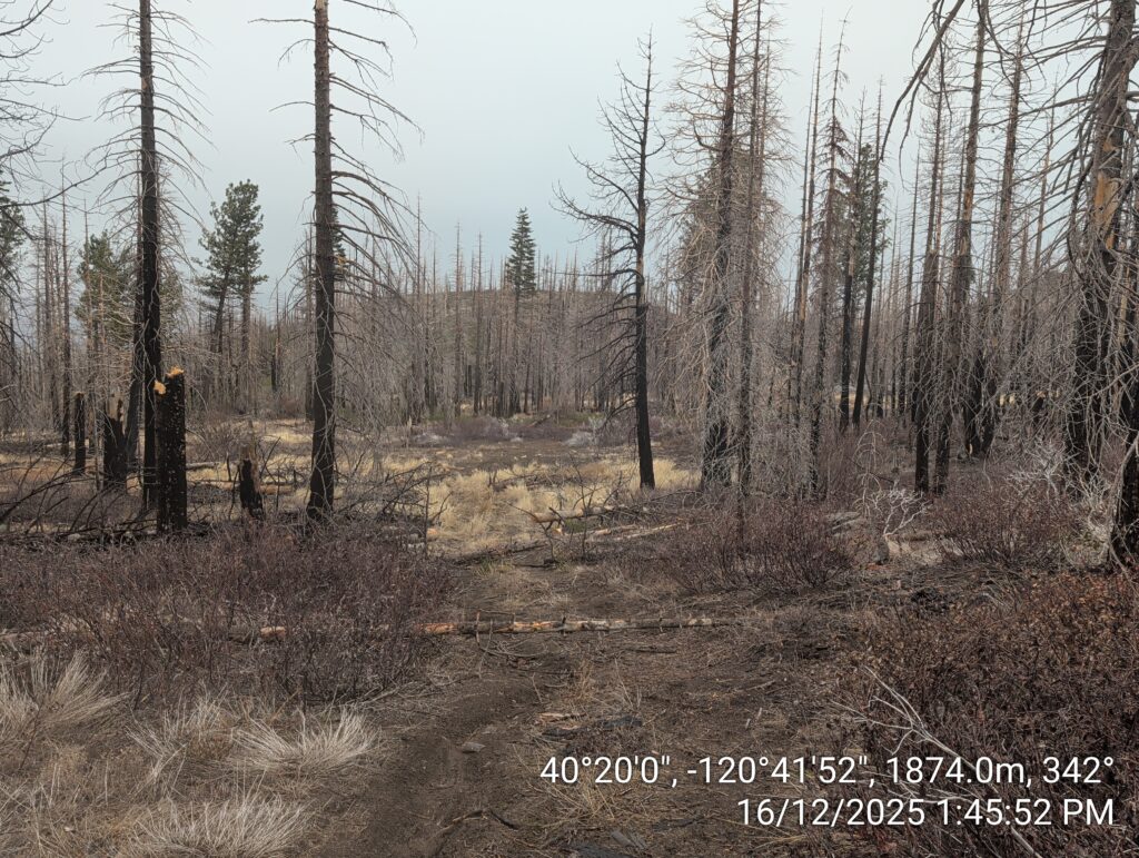 Illegal 70 + Acre Herbicide Application Photos and Evidence for the Lahontan Water Board 267 IMG 20251216 134552