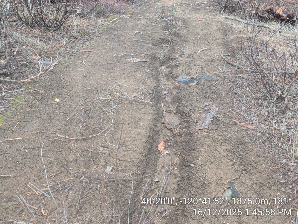 Illegal 70 + Acre Herbicide Application Photos and Evidence for the Lahontan Water Board 268 IMG 20251216 134558